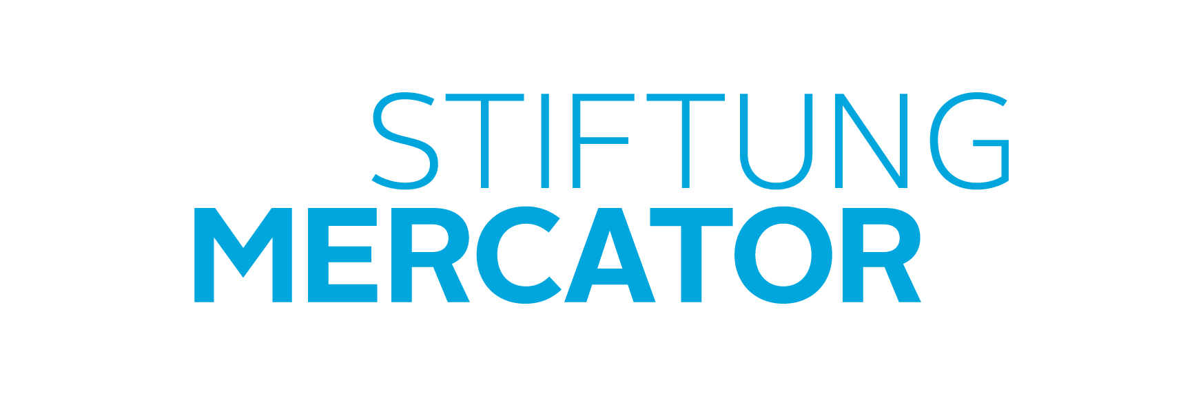 Logo Mercator Stiftung